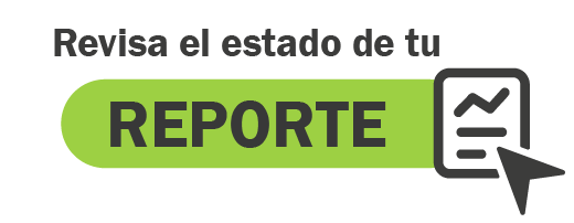 Estado del reporte